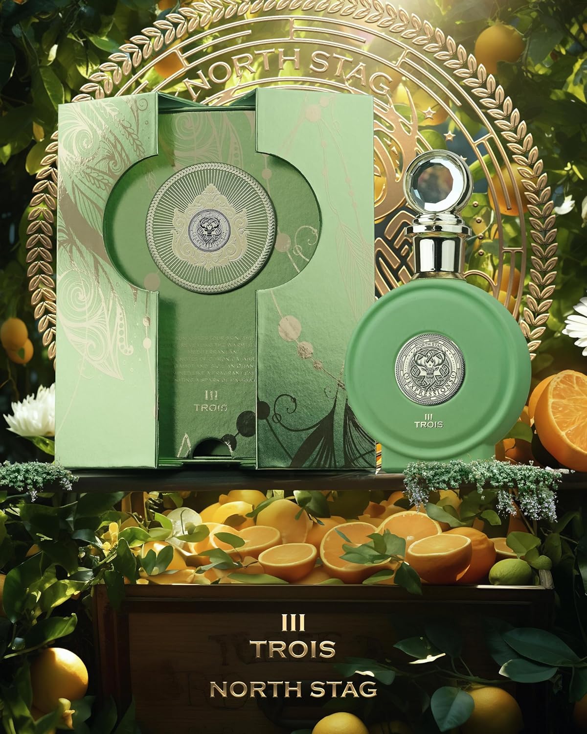 Paris Corner North Stag Luxury Perfume Series 100ml Extrait de parfum Perfume Spray Scents Fragrance PERFUMES (NORTH STAG EXPRESSIONS III TROIS)