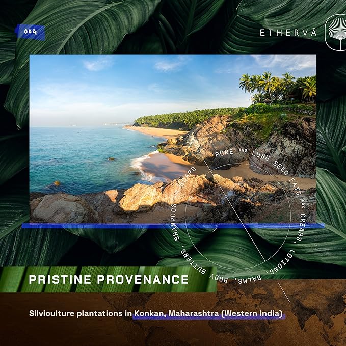 ETHERVA Tamanu Oil | No Chemicals | Natural Scent | Unrefined, Raw, Cold Pressed, Solidifies in Winter | Wild Grown Organic Indian Origin | DIY Face, Body, Scalp & Hair | PET Bottle 16.9 Fl Oz