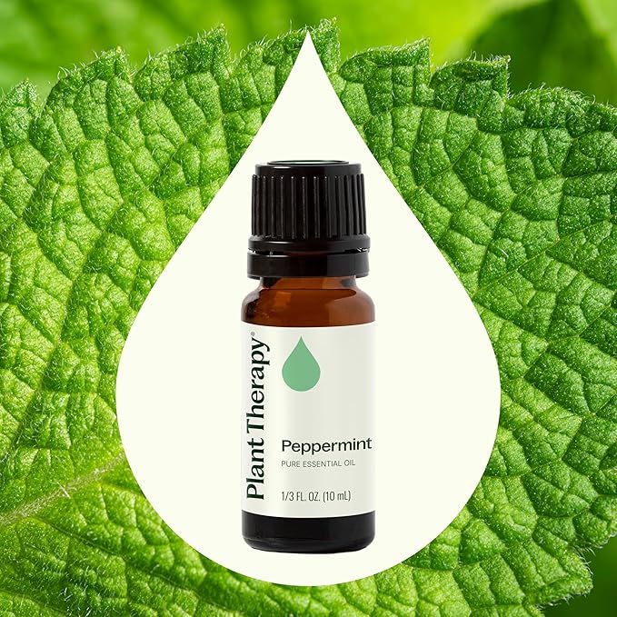 Plant Therapy Peppermint Essential Oil 10 mL (1/3 oz) 100% Pure, Undiluted, Natural Aromatherapy for Diffuser & Topical Use, Digestion, Respiratory, & Massage, Peppermint Oil for Skin & Hair