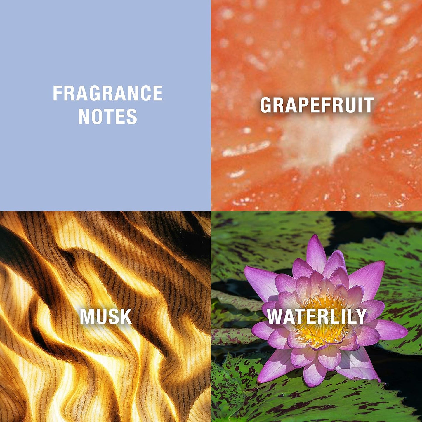 Curve Eau De Toilette Perfume Spray, Fragrance for Women, 1.7 fl oz