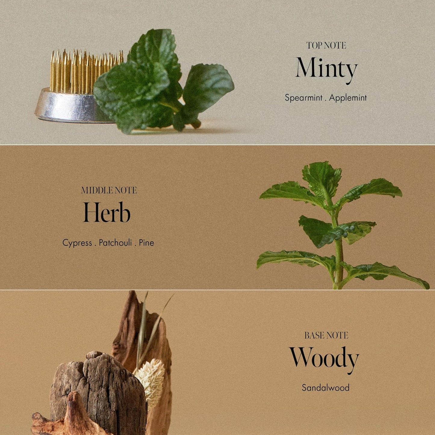 ANILLO Dark Beer Biome Shampoo - Vegan Thicker Hair & Sclap Care with Caffeine & Green Mint Complex for Volumizing Hair- Deep Cleansing, Oil Control & Cooling Effect, Sulfate-Free 500 ml / 16.9 fl oz