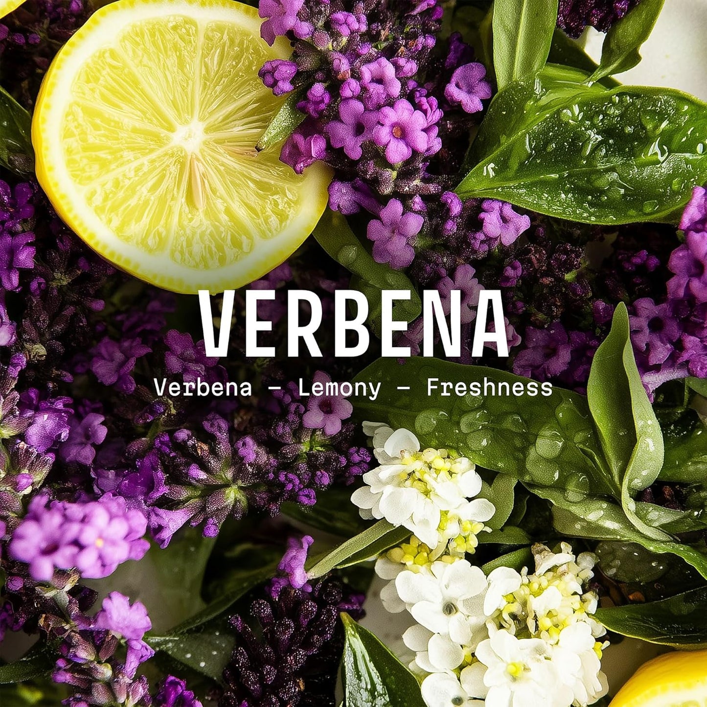 Panier des Sens - Verbena Eau de Toilette 1.7 Floz - Fresh & Lemony Fragrance - Daily Light Perfume for Women - Parfum Crafted in Grasse, France - Gifts for Her - Elegant Packaging