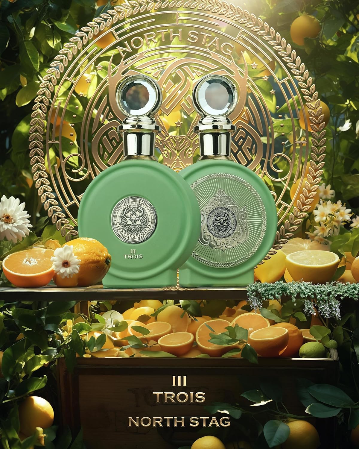 Paris Corner North Stag Luxury Perfume Series 100ml Extrait de parfum Perfume Spray Scents Fragrance PERFUMES (NORTH STAG EXPRESSIONS III TROIS)