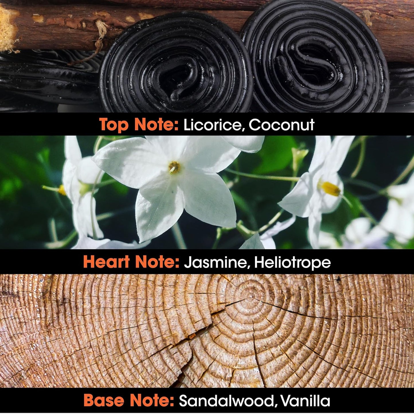 Jeanne Arthes - Guipure & Silk Eau De Parfum - Spray Perfume for Women - Floral Scent - Notes of Sweet Almond, Licorice, Coconut - Made in France - 3.38 fl.oz