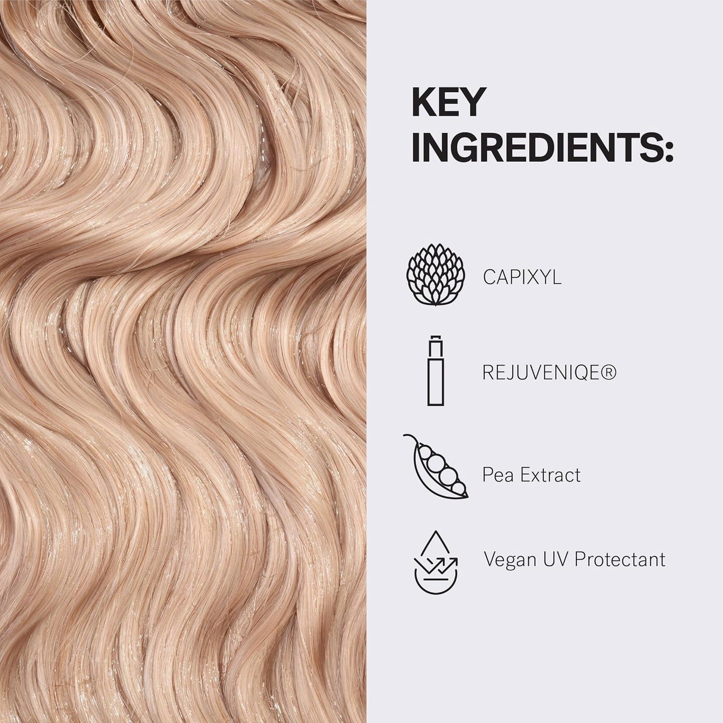 MONAT Volumizing Revive Shampoo Infused w/Rejuveniqe – Weightless Shampoo for Fine, Flat Hair – Amplifies Volume, Adds Softness, Shine – Cleanses and Protects with UV Defense – Net Wt 237ml (8 fl oz)