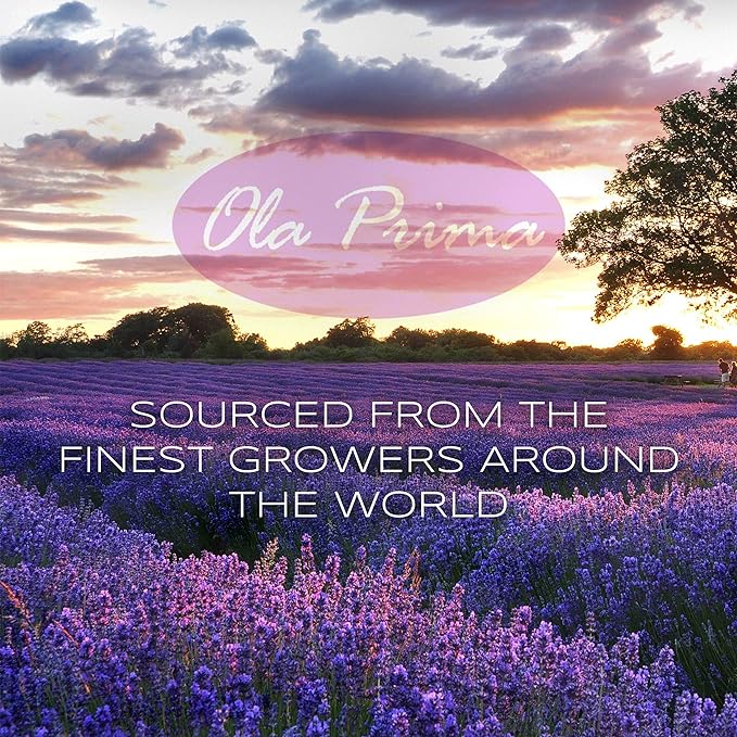 Ola Prima Rosemary Essential Oil - Pure Rosemary Oil (8 Fluid Ounces)