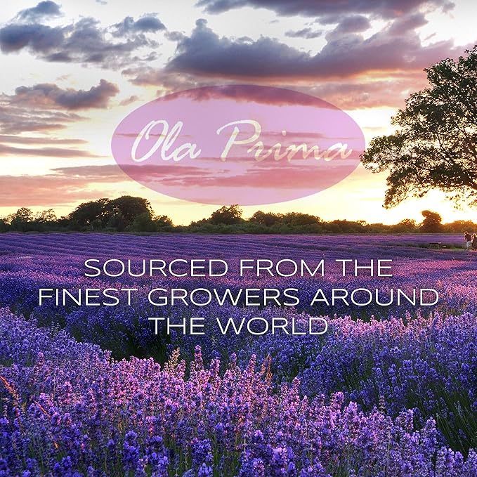 Ola Prima 16 oz Oregano Essential Oil Big Bottle