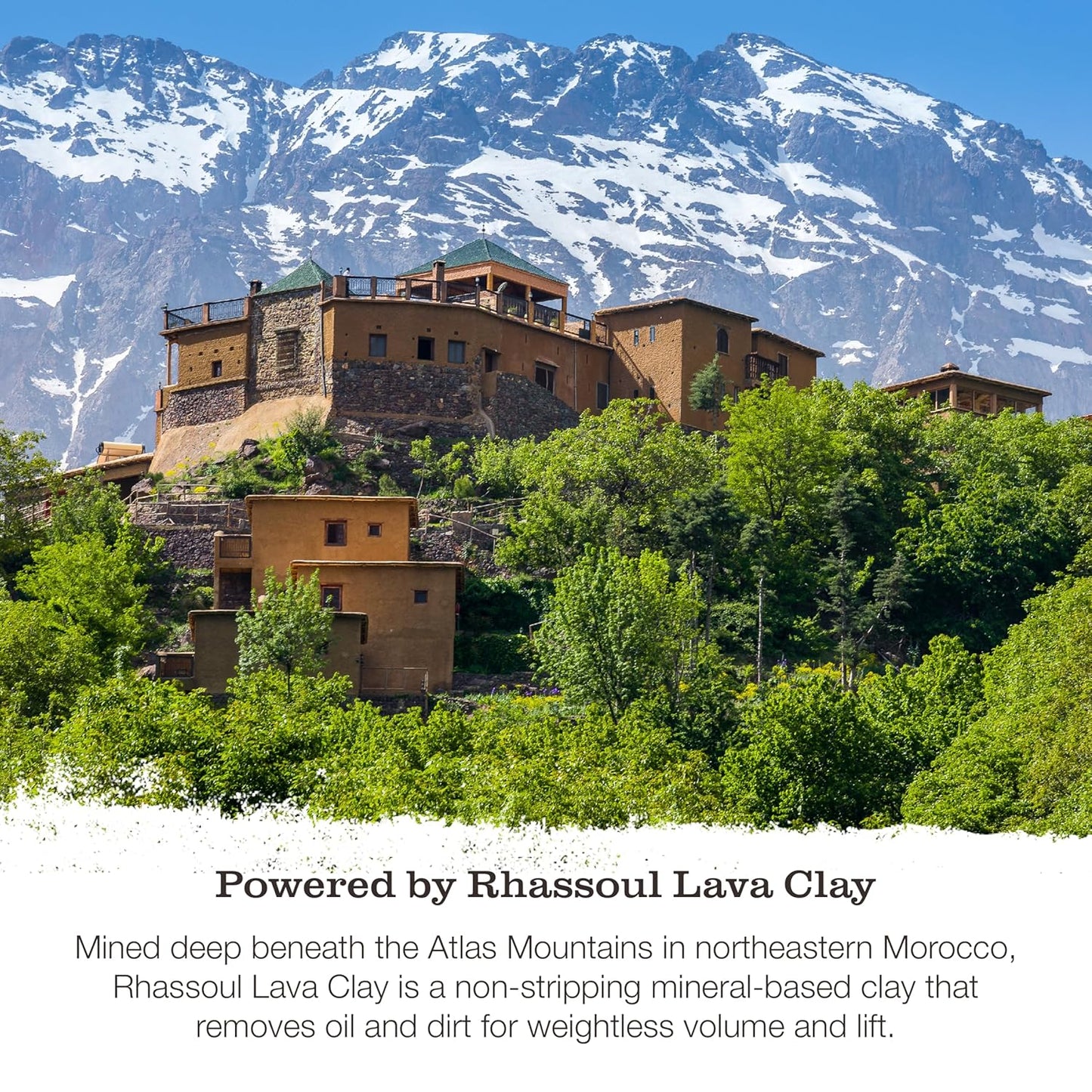 Tweak’d by Nature - Rise & Shine Hair Volumizing Conditioner for Fine Hair, Paraben Free and Sulfate Free Conditioner, Hydrating Hair Care for Soft, Tangle-Free Finish (33.8 ounces)